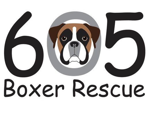 605 Boxer Rescue Inc logo