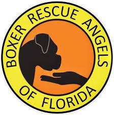 Boxer Rescue Angels of Florida logo