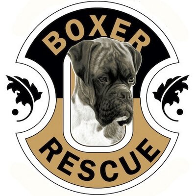 Boxer Rescue Los Angeles logo