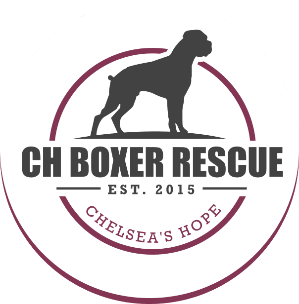 CH Boxer Rescue logo