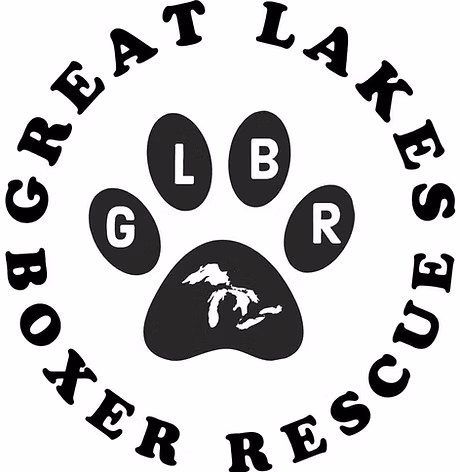 Great Lakes Boxer Rescue logo