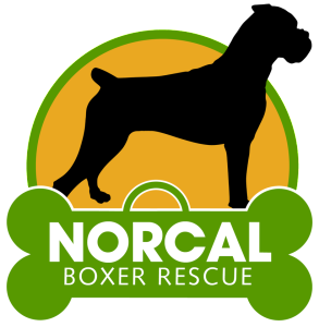 NorCal Boxer Rescue logo