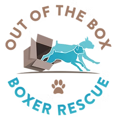 Out of the Box Boxer Rescue logo