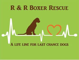 R&R Boxer Rescue logo