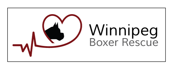Winnipeg Boxer Rescue logo